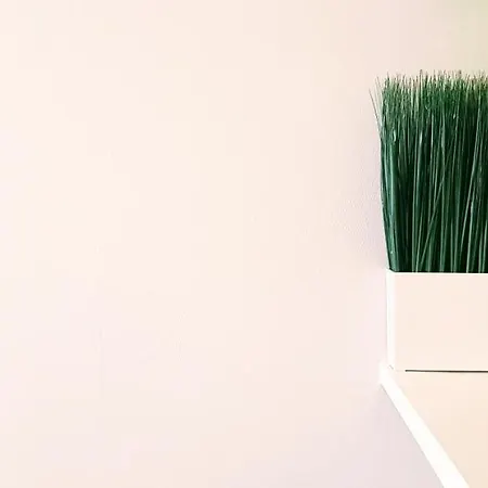 Le Trendy - Duplex Petillant : Place Graslin / Dobree Appartement Nantes